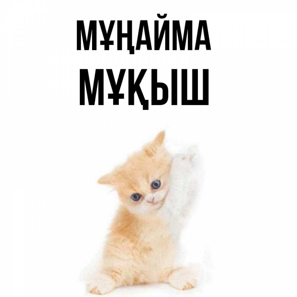 Күн сайын ашық хат с именем, Мұқыш Мұңайма просящий кот Онлайн тегін жүктеп алу тілектері бар керемет карта 