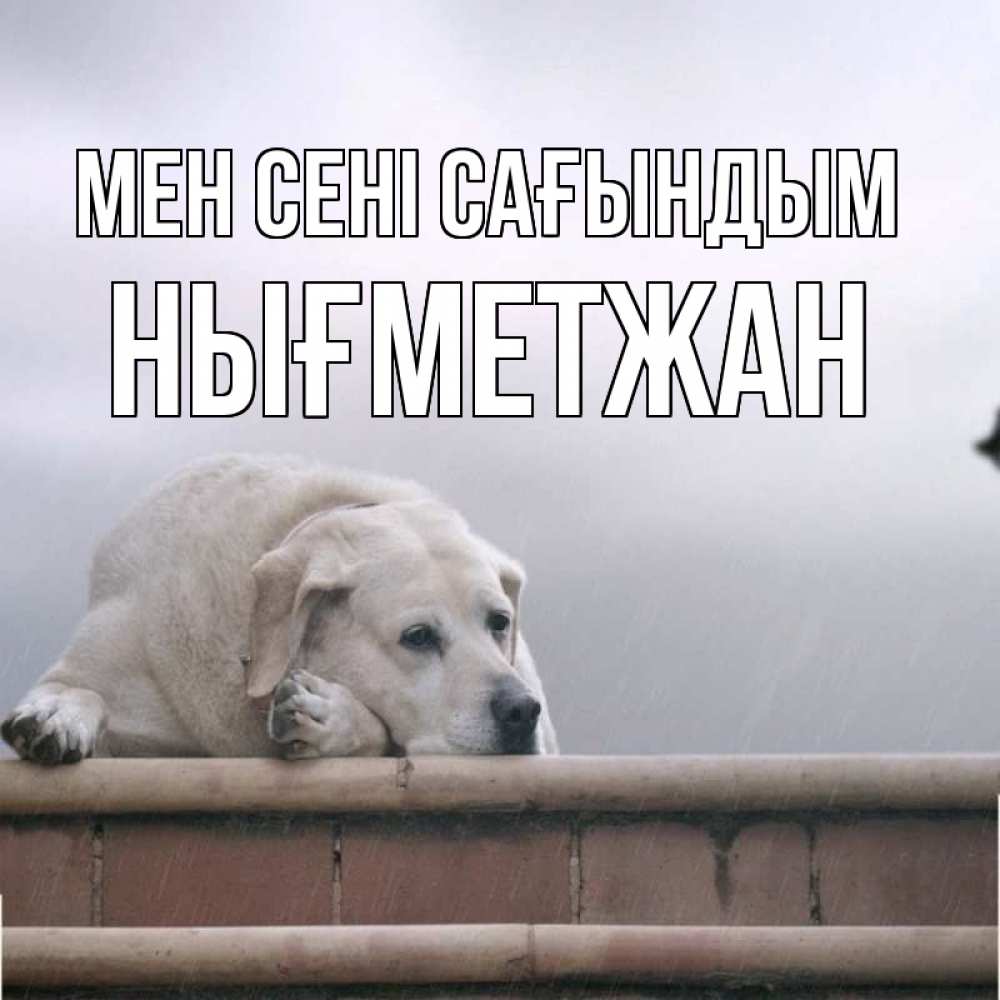Күн сайын ашық хат с именем, НЫҒМЕТЖАН Мен сені сағындым ждет Онлайн тегін жүктеп алу тілектері бар керемет карта 