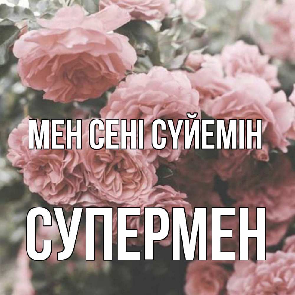 Күн сайын ашық хат с именем, Супермен Мен сені сүйемін розы 3 Онлайн тегін жүктеп алу тілектері бар керемет карта 