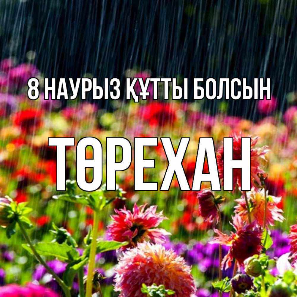 Күн сайын ашық хат с именем, Төрехан 8 наурыз құтты болсын цветы под дождиком к международному женскому дню Онлайн тегін жүктеп алу тілектері бар керемет карта 