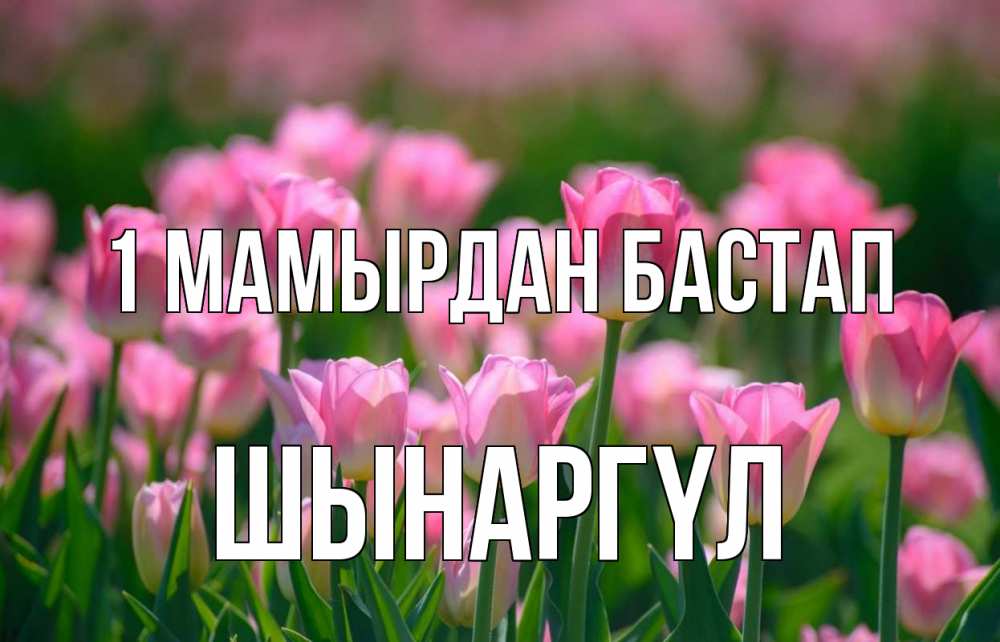 Күн сайын ашық хат с именем, ШЫНАРГҮЛ 1 мамырдан бастап С 1 мая Онлайн тегін жүктеп алу тілектері бар керемет карта 