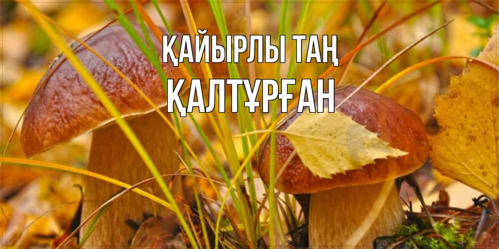 Күн сайын ашық хат с именем, ҚАЛТҰРҒАН Қайырлы таң осенние грибы Онлайн тегін жүктеп алу тілектері бар керемет карта 