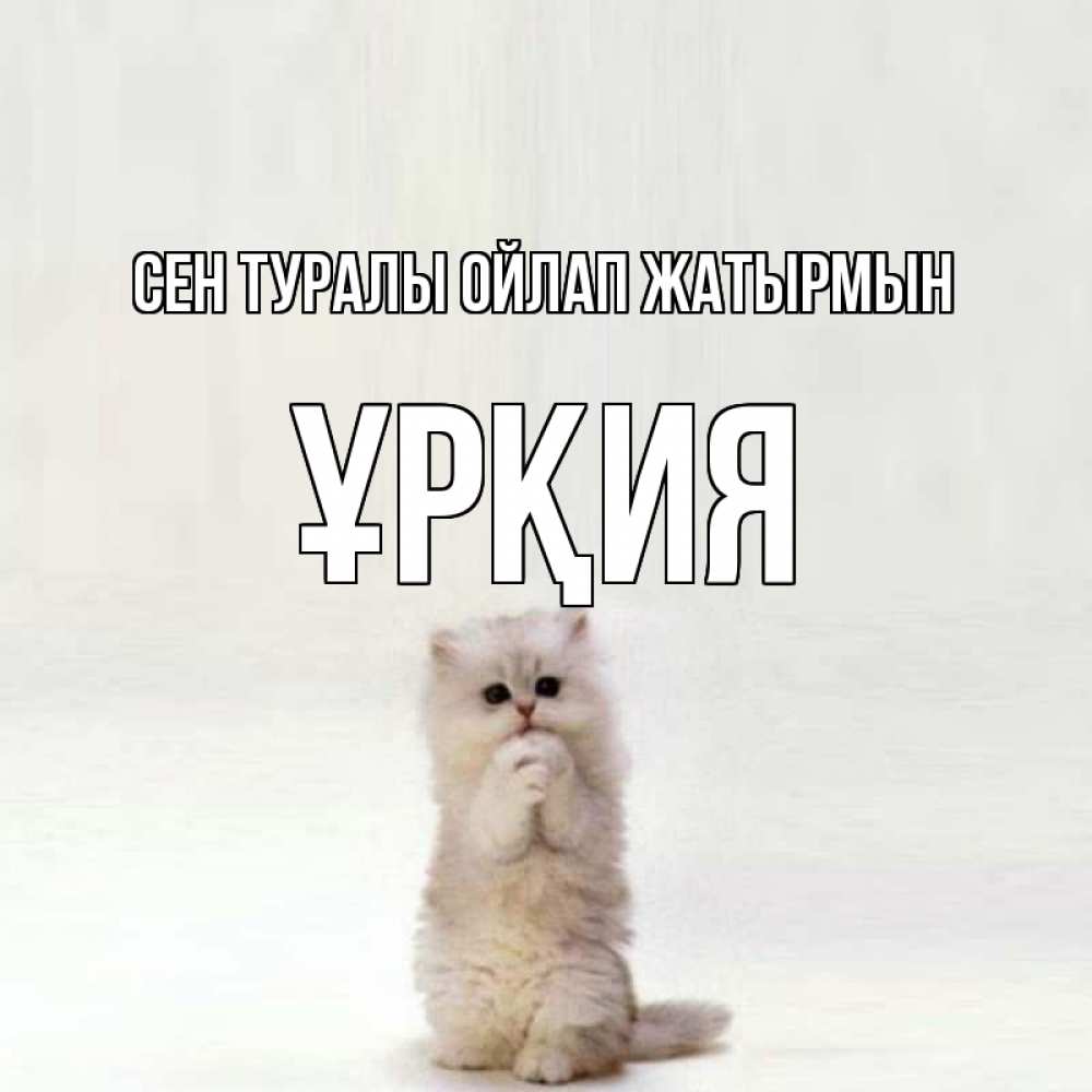 Күн сайын ашық хат с именем, ҰРҚИЯ Сен туралы ойлап жатырмын кот стоит на задних лапах Онлайн тегін жүктеп алу тілектері бар керемет карта 