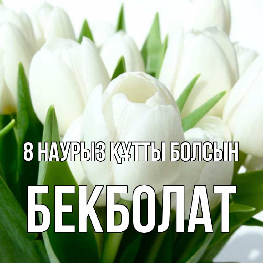 Күн сайын ашық хат с именем, Бекболат 8 наурыз құтты болсын цветы Онлайн тегін жүктеп алу тілектері бар керемет карта 