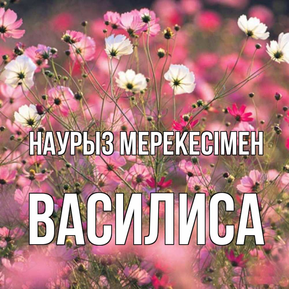 Күн сайын ашық хат с именем, Василиса Наурыз мерекесімен красиво 1 Онлайн тегін жүктеп алу тілектері бар керемет карта 