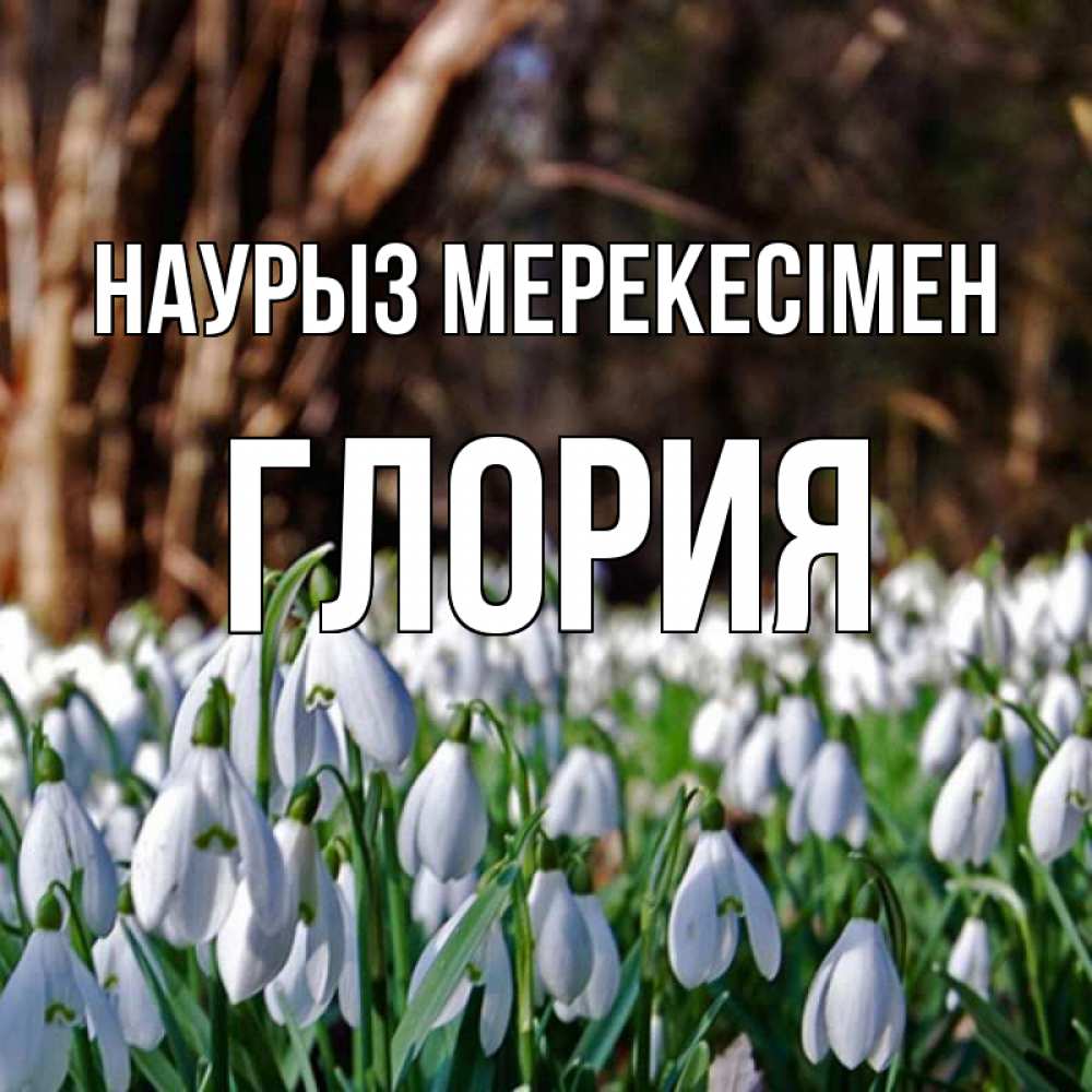Күн сайын ашық хат с именем, Глория Наурыз мерекесімен с подснежниками 1 Онлайн тегін жүктеп алу тілектері бар керемет карта 