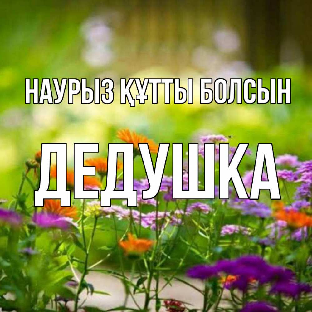 Күн сайын ашық хат с именем, Дедушка Наурыз құтты болсын цветы Онлайн тегін жүктеп алу тілектері бар керемет карта 