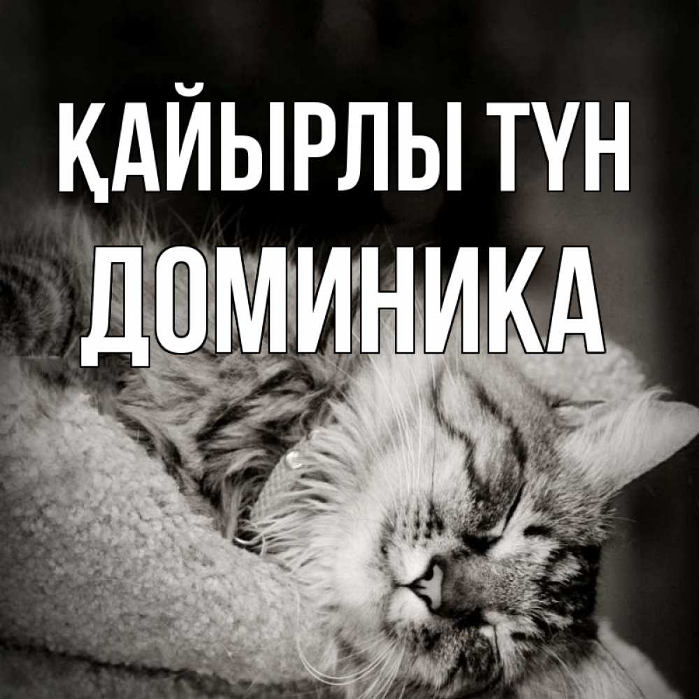 Күн сайын ашық хат с именем, Доминика Қайырлы түн котярик пушистый Онлайн тегін жүктеп алу тілектері бар керемет карта 