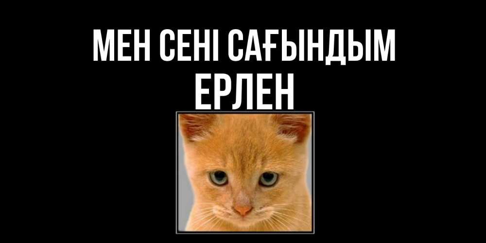 Күн сайын ашық хат с именем, Ерлен Мен сені сағындым открытки рыжий котенок скучает по тебе Онлайн тегін жүктеп алу тілектері бар керемет карта 