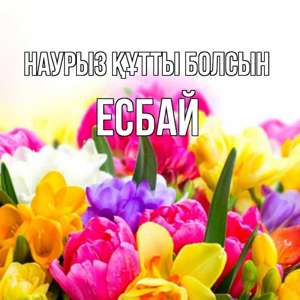 Күн сайын ашық хат с именем, Есбай Наурыз құтты болсын тюльпаны Онлайн тегін жүктеп алу тілектері бар керемет карта 