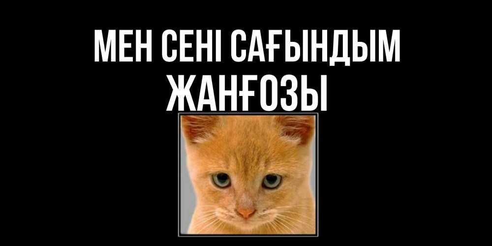 Күн сайын ашық хат с именем, Жанғозы Мен сені сағындым открытки рыжий котенок скучает по тебе Онлайн тегін жүктеп алу тілектері бар керемет карта 