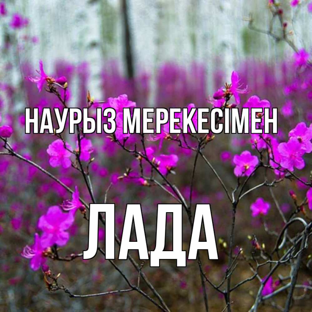 Күн сайын ашық хат с именем, Лада Наурыз мерекесімен дикие цветы Онлайн тегін жүктеп алу тілектері бар керемет карта 
