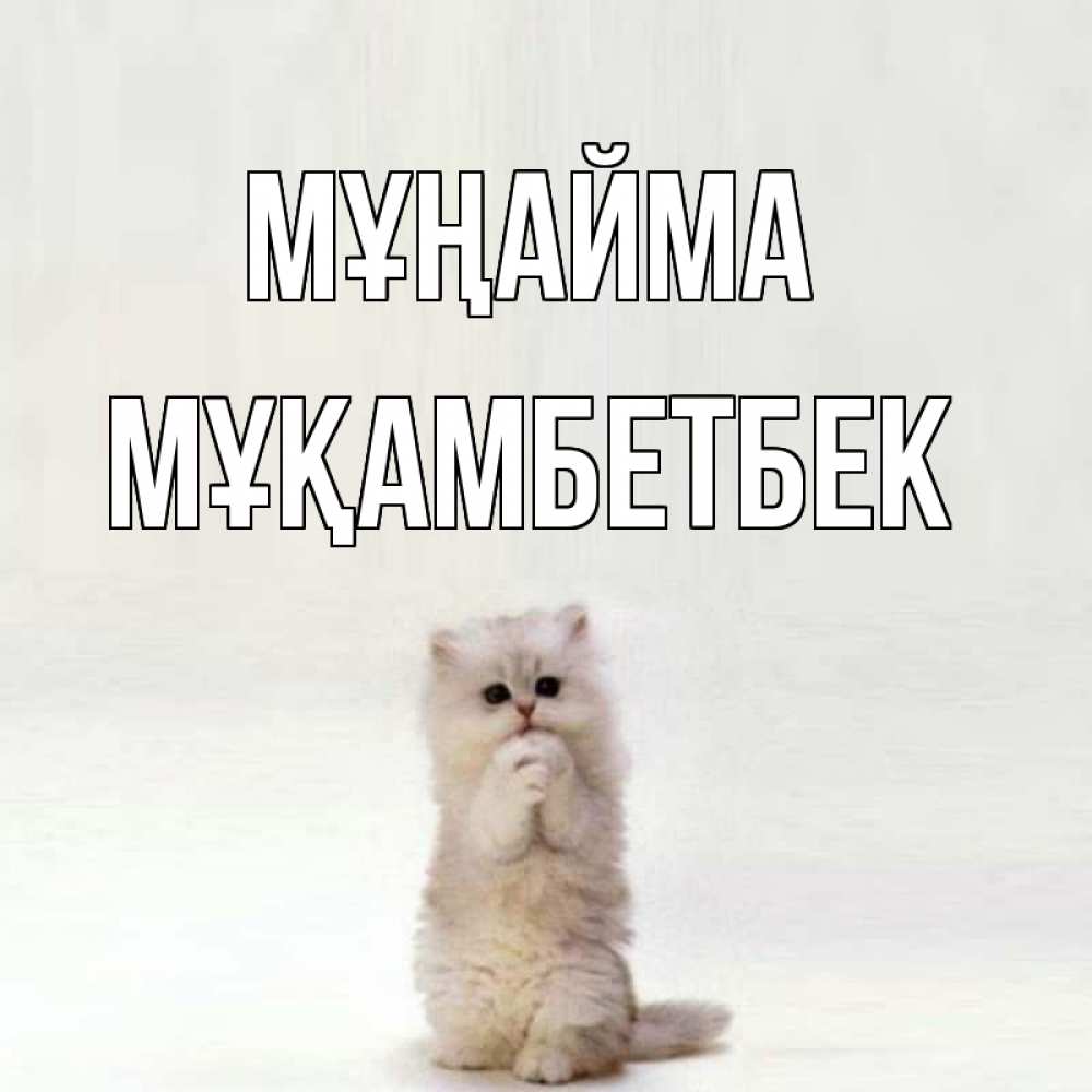 Күн сайын ашық хат с именем, Мұқамбетбек Мұңайма грустный кот Онлайн тегін жүктеп алу тілектері бар керемет карта 