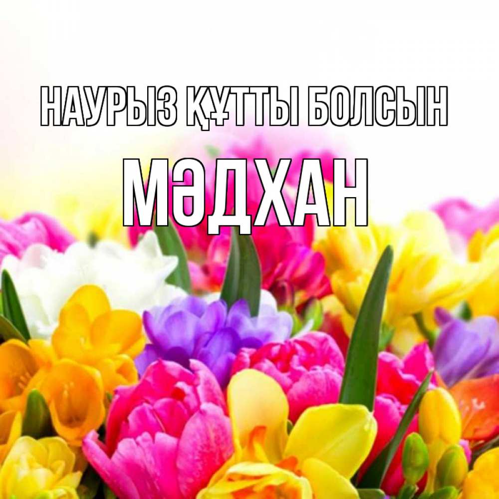 Күн сайын ашық хат с именем, МӘДХАН Наурыз құтты болсын тюльпаны Онлайн тегін жүктеп алу тілектері бар керемет карта 