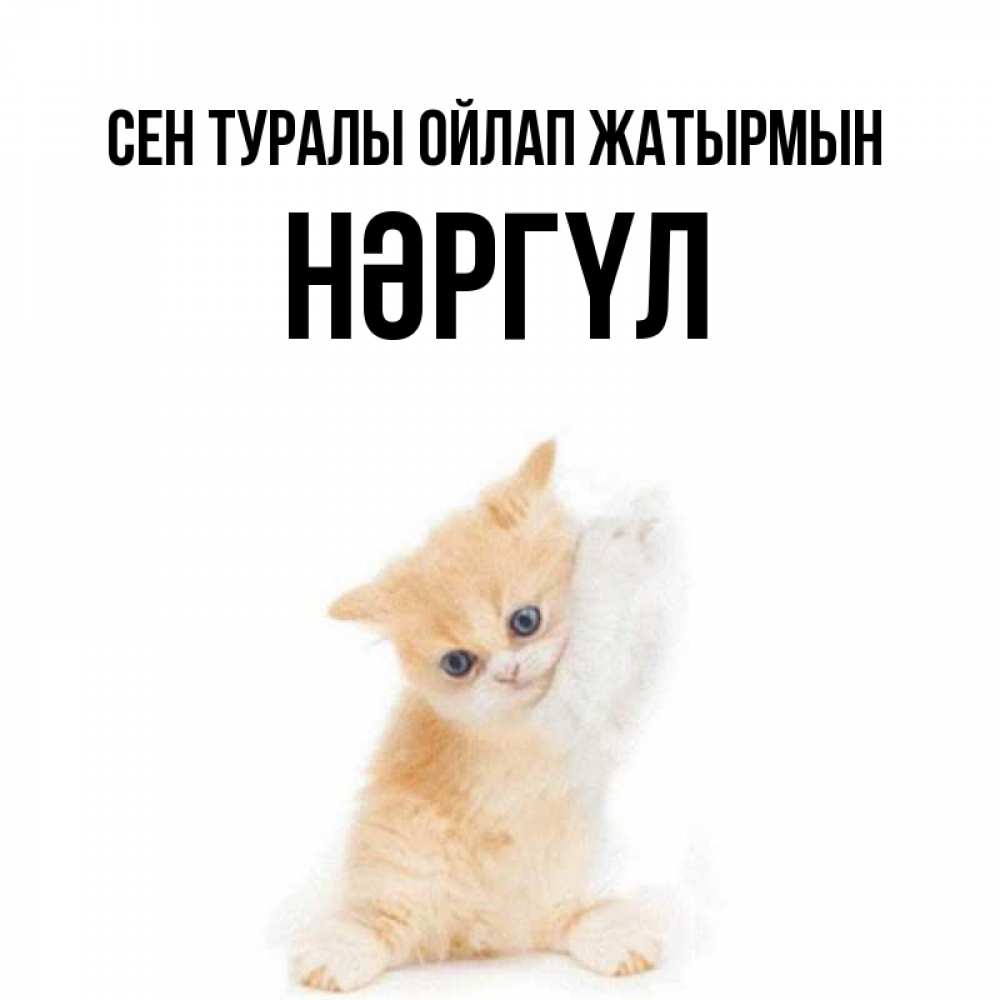 Күн сайын ашық хат с именем, НӘРГҮЛ Сен туралы ойлап жатырмын зверушки и милота Онлайн тегін жүктеп алу тілектері бар керемет карта 