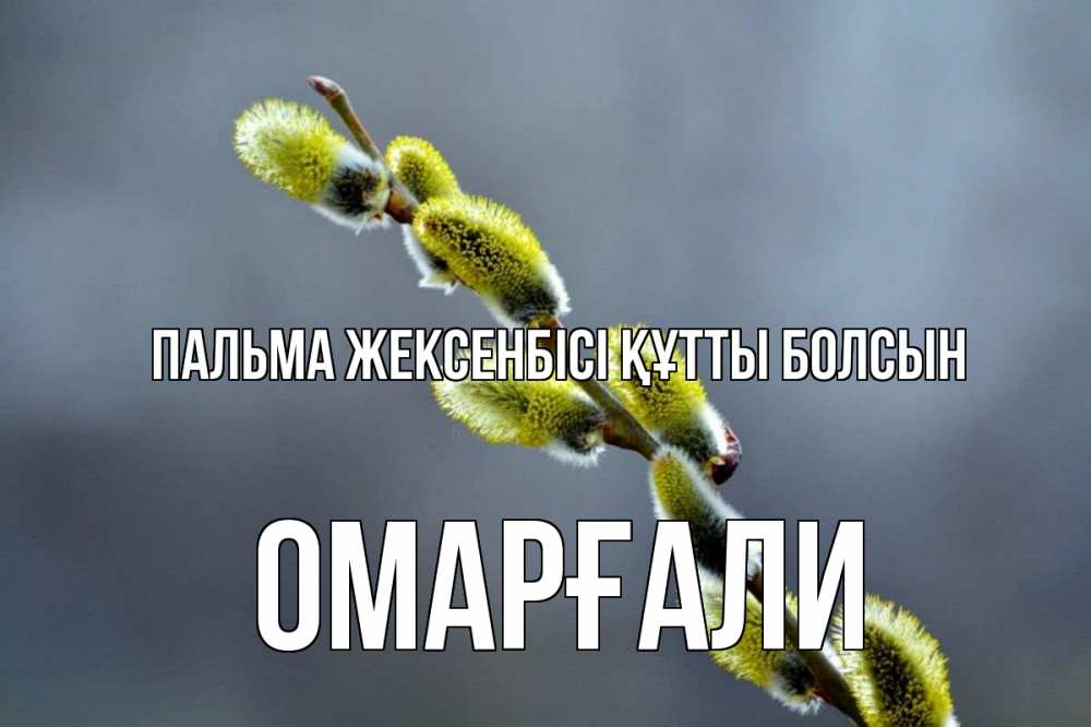 Күн сайын ашық хат с именем, ОМАРҒАЛИ Пальма жексенбісі құтты болсын верба Онлайн тегін жүктеп алу тілектері бар керемет карта 