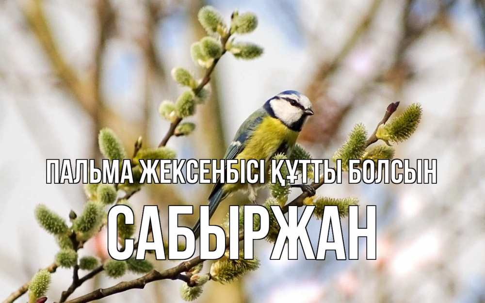 Күн сайын ашық хат с именем, САБЫРЖАН Пальма жексенбісі құтты болсын верба Онлайн тегін жүктеп алу тілектері бар керемет карта 
