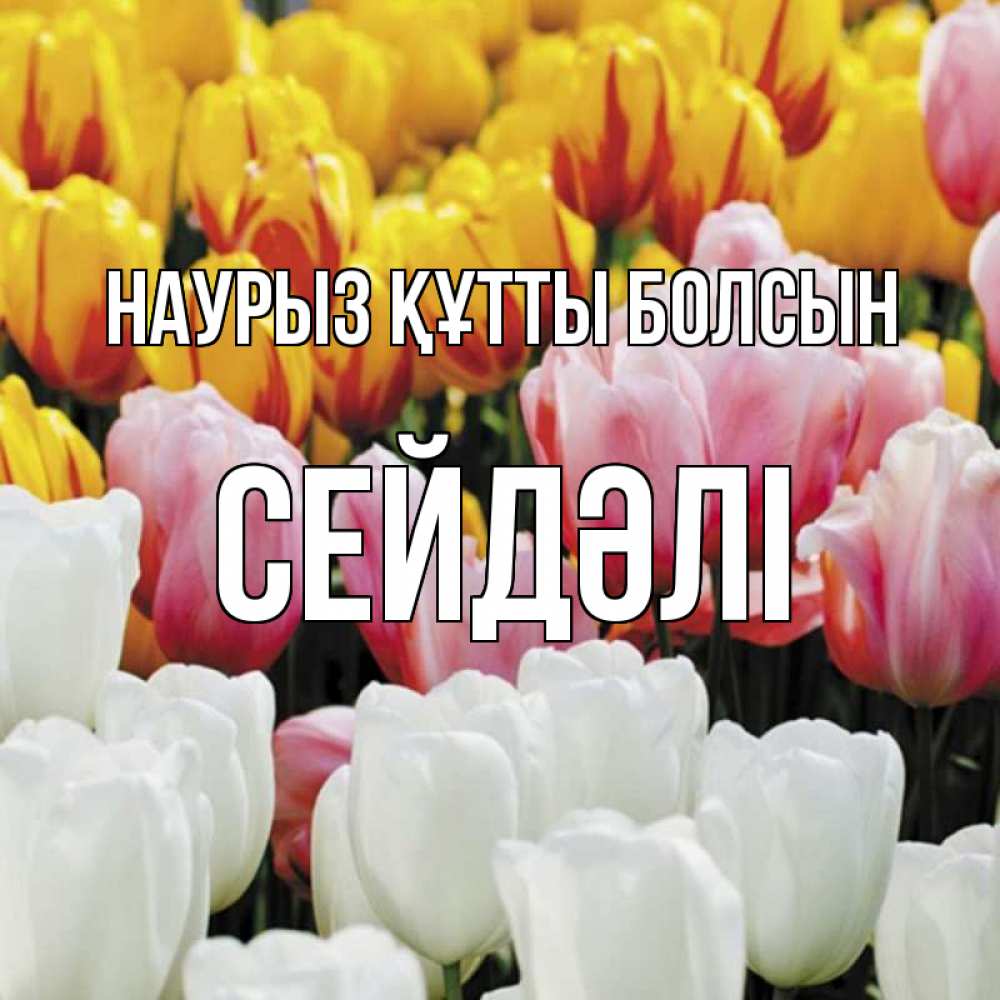 Күн сайын ашық хат с именем, СЕЙДӘЛІ Наурыз құтты болсын разноцветные цветы Онлайн тегін жүктеп алу тілектері бар керемет карта 