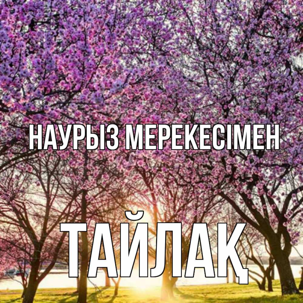 Күн сайын ашық хат с именем, ТАЙЛАҚ Наурыз мерекесімен праздник весны наурыз Онлайн тегін жүктеп алу тілектері бар керемет карта 