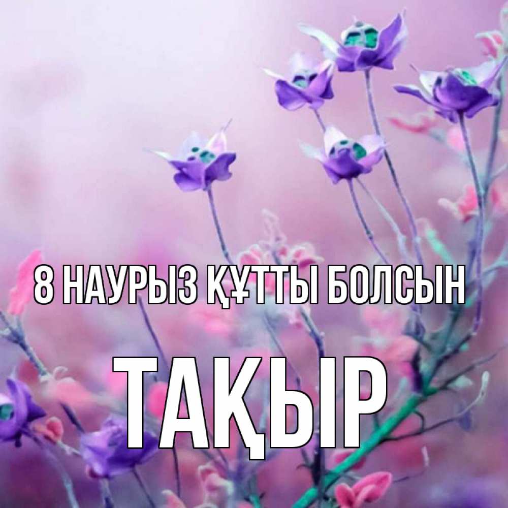 Күн сайын ашық хат с именем, ТАҚЫР 8 наурыз құтты болсын международный женский день 2 Онлайн тегін жүктеп алу тілектері бар керемет карта 