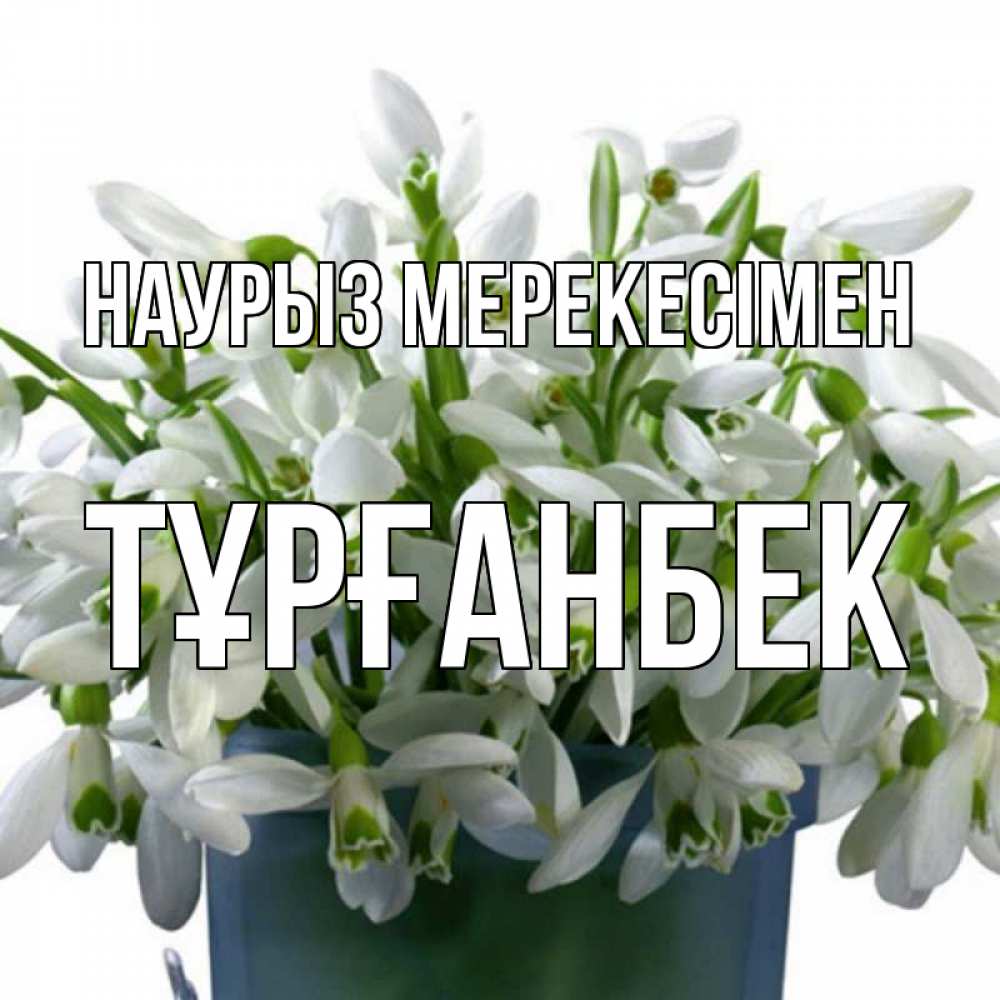 Күн сайын ашық хат с именем, ТҰРҒАНБЕК Наурыз мерекесімен цветы к наурызу новый год в Казахстане Онлайн тегін жүктеп алу тілектері бар керемет карта 