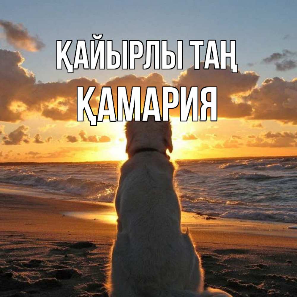 Күн сайын ашық хат с именем, ҚАМАРИЯ Қайырлы таң восход солнца Онлайн тегін жүктеп алу тілектері бар керемет карта 