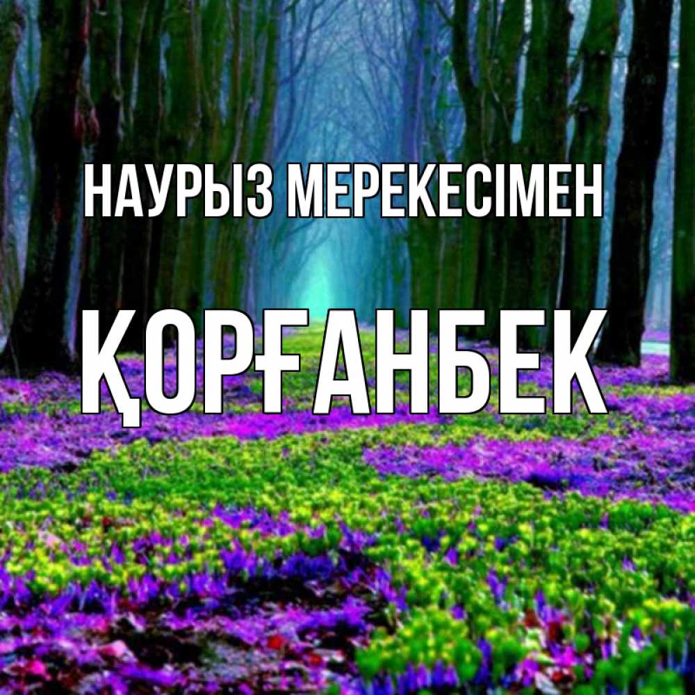 Күн сайын ашық хат с именем, Қорғанбек Наурыз мерекесімен фиолетовые цветы в лесу 1 Онлайн тегін жүктеп алу тілектері бар керемет карта 