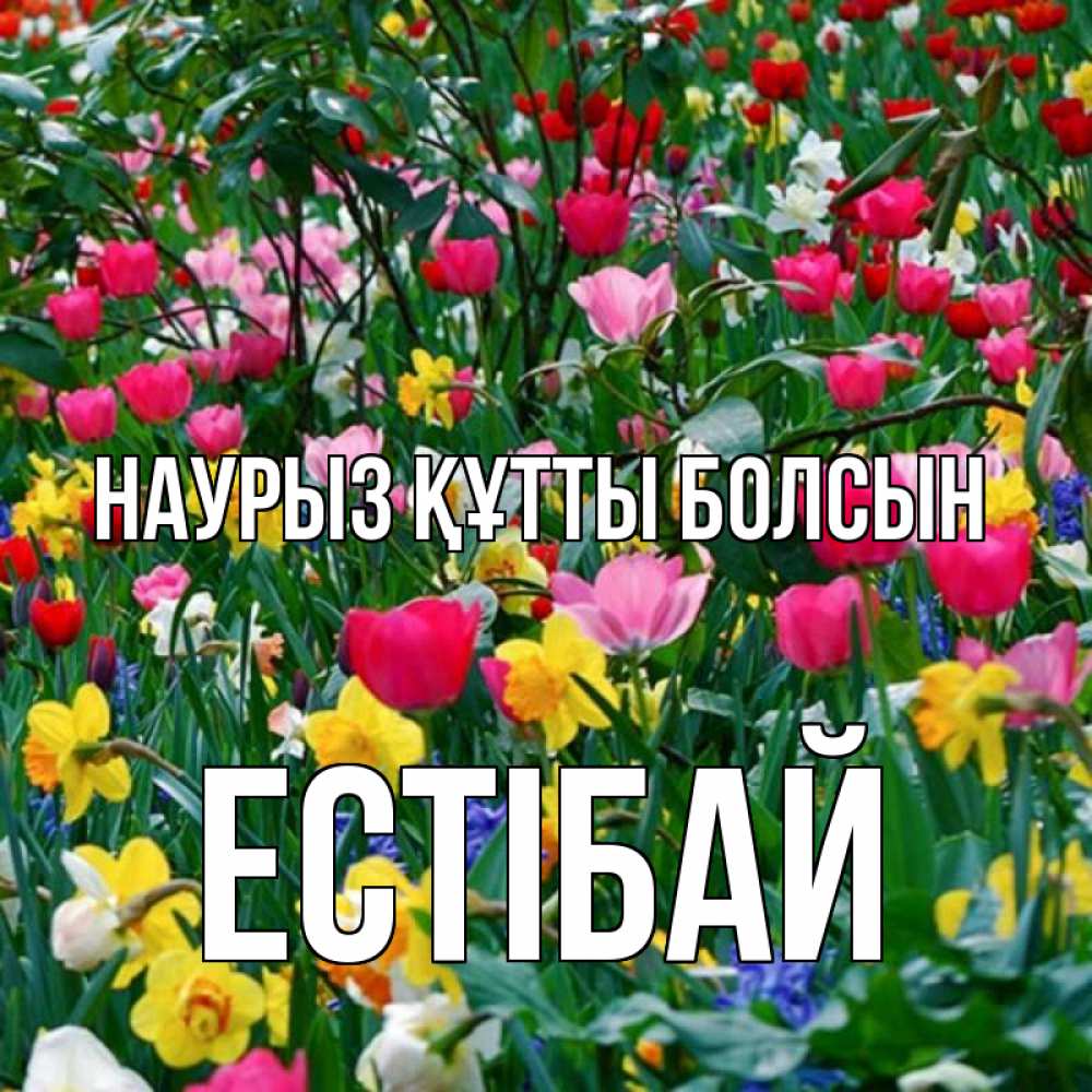 Күн сайын ашық хат с именем, Естібай Наурыз құтты болсын с наурызом поздравления для женщины Онлайн тегін жүктеп алу тілектері бар керемет карта 