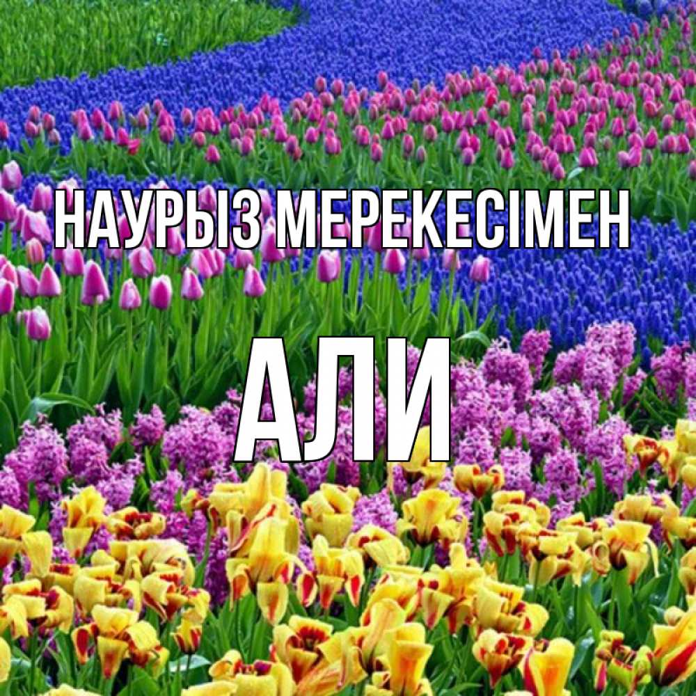 Күн сайын ашық хат с именем, Али Наурыз мерекесімен цветы Онлайн тегін жүктеп алу тілектері бар керемет карта 