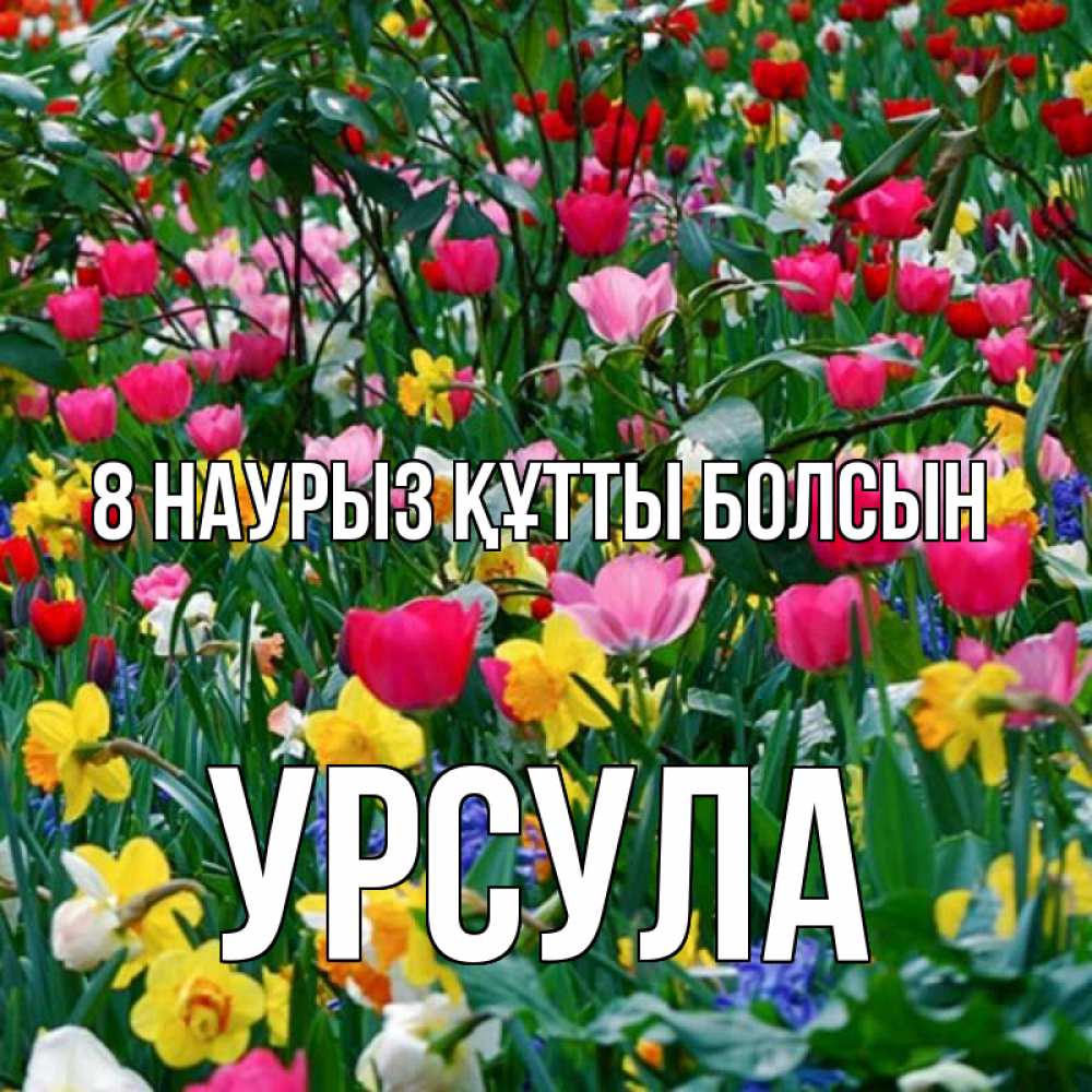 Күн сайын ашық хат с именем, Урсула 8 наурыз құтты болсын с международным женским днем поздравления для женщины Онлайн тегін жүктеп алу тілектері бар керемет карта 