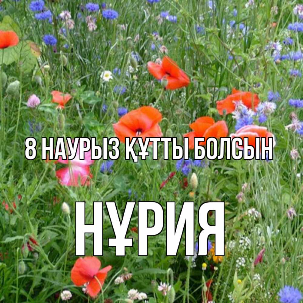 Күн сайын ашық хат с именем, НҰРИЯ 8 наурыз құтты болсын международный женский день 4 Онлайн тегін жүктеп алу тілектері бар керемет карта 