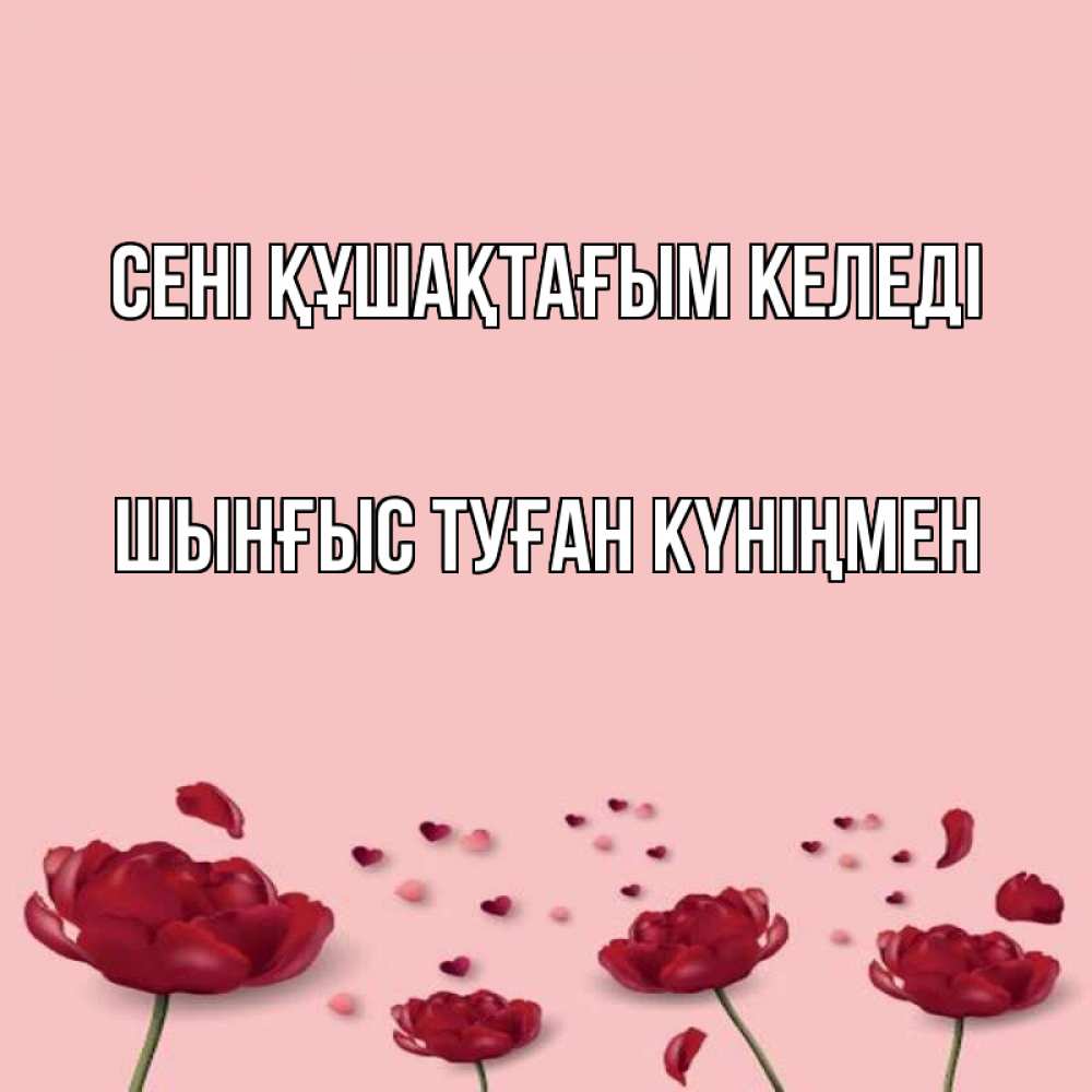 Картинка сені құшақтағым келеді, ШЫНҒЫС! ТУҒАН КҮНІҢМЕН!
