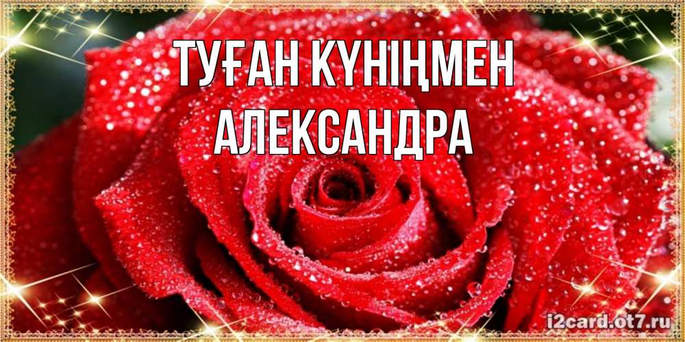Күн сайын ашық хат с именем, Александра Туған күніңмен роса и роза. открытка с красивой розой Онлайн тегін жүктеп алу тілектері бар керемет карта 
