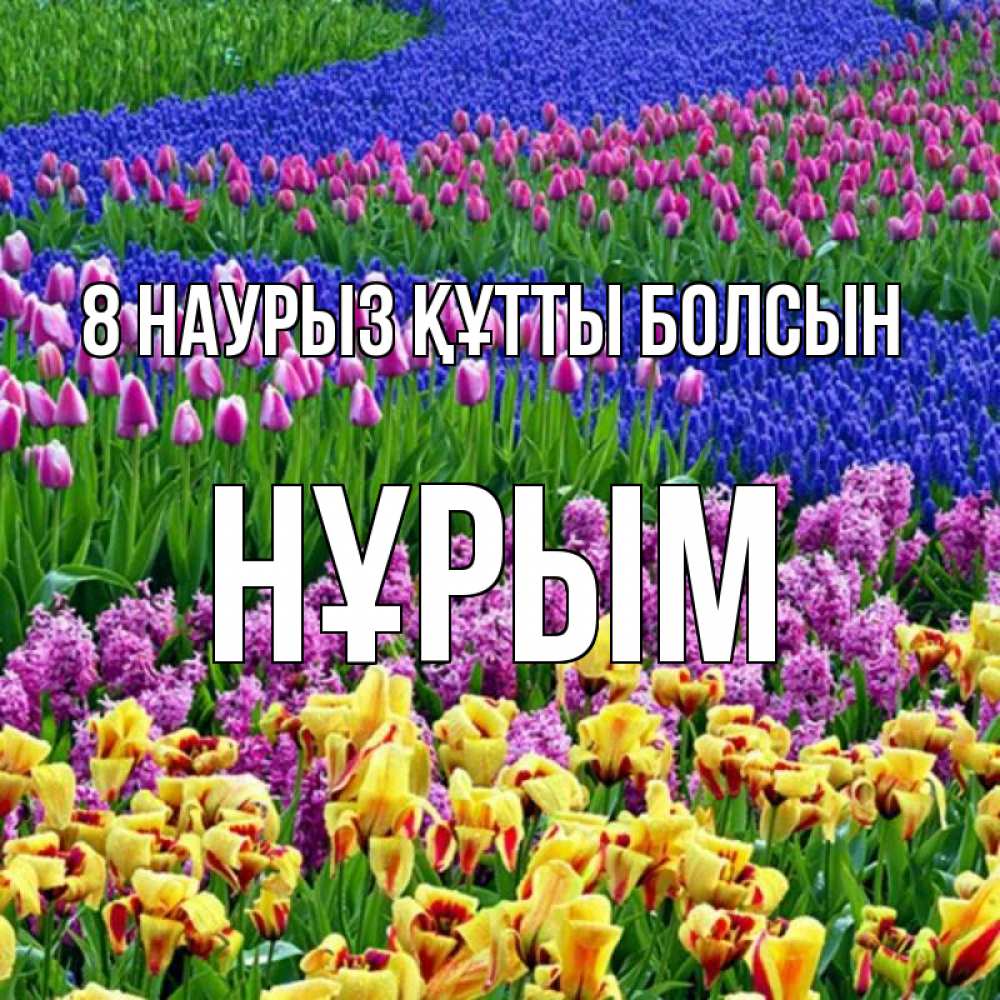 Күн сайын ашық хат с именем, Нұрым 8 наурыз құтты болсын цветы Онлайн тегін жүктеп алу тілектері бар керемет карта 