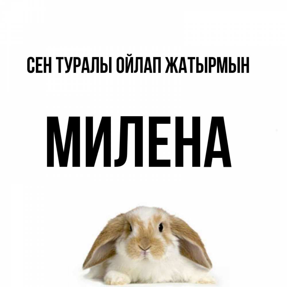 Күн сайын ашық хат с именем, Милена Сен туралы ойлап жатырмын подписать своими руками онлайн Онлайн тегін жүктеп алу тілектері бар керемет карта 