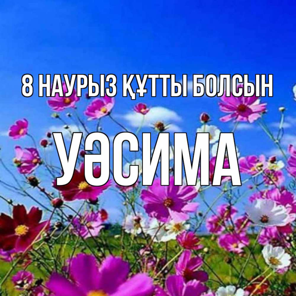 Күн сайын ашық хат с именем, УӘСИМА 8 наурыз құтты болсын цветы Онлайн тегін жүктеп алу тілектері бар керемет карта 