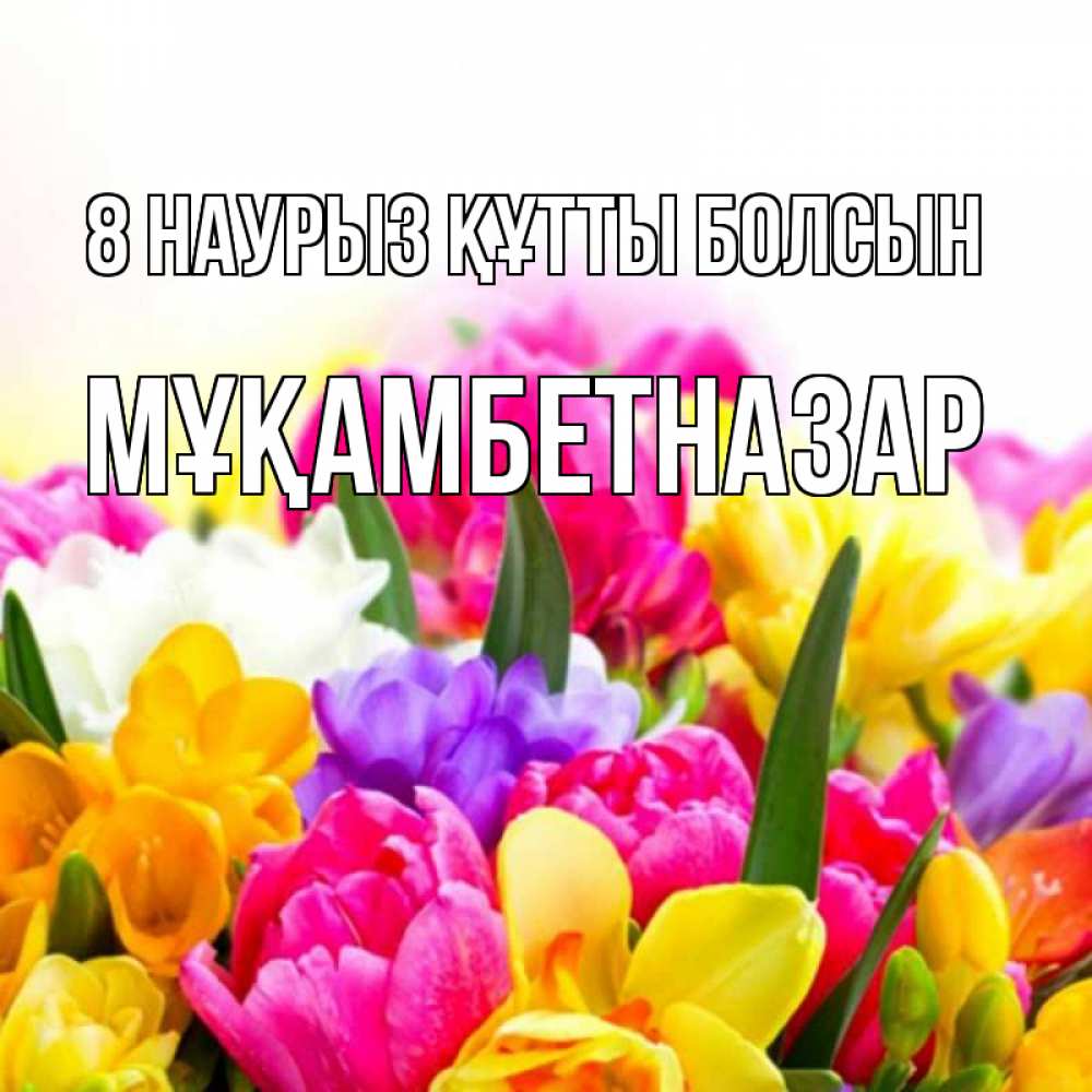 Күн сайын ашық хат с именем, Мұқамбетназар 8 наурыз құтты болсын тюльпаны Онлайн тегін жүктеп алу тілектері бар керемет карта 