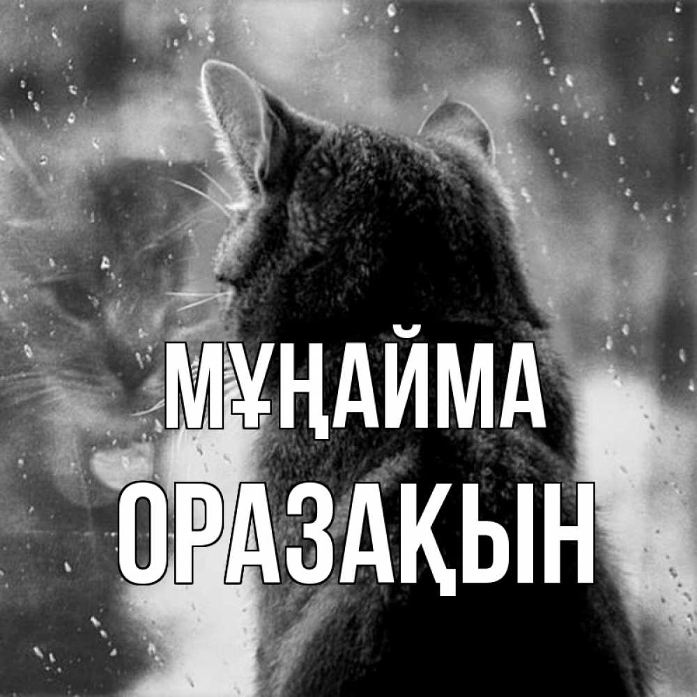 Күн сайын ашық хат с именем, ОРАЗАҚЫН Мұңайма отражение кота 1 Онлайн тегін жүктеп алу тілектері бар керемет карта 