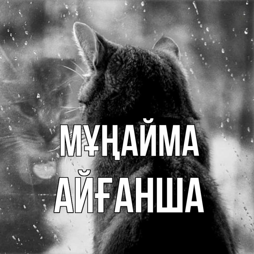 Күн сайын ашық хат с именем, АЙҒАНША Мұңайма отражение кота 1 Онлайн тегін жүктеп алу тілектері бар керемет карта 