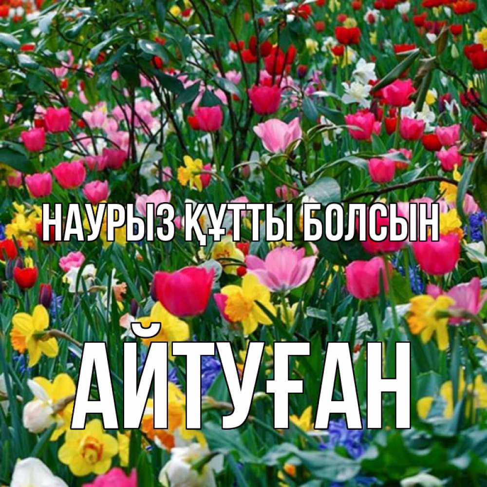 Күн сайын ашық хат с именем, Айтуған Наурыз құтты болсын с наурызом поздравления для женщины Онлайн тегін жүктеп алу тілектері бар керемет карта 