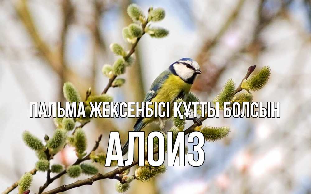 Күн сайын ашық хат с именем, Алоиз Пальма жексенбісі құтты болсын верба Онлайн тегін жүктеп алу тілектері бар керемет карта 