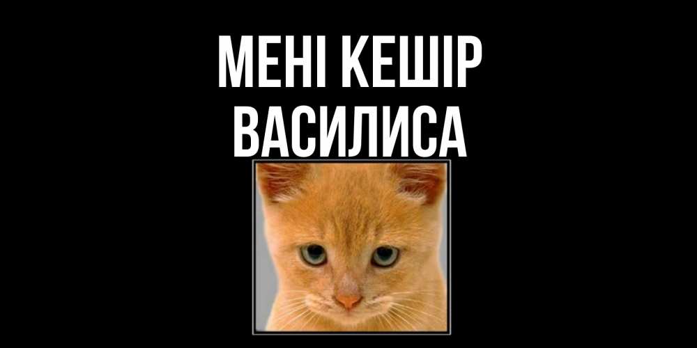 Күн сайын ашық хат с именем, Василиса Мені кешір рыжий грустный кот просит прощения Онлайн тегін жүктеп алу тілектері бар керемет карта 