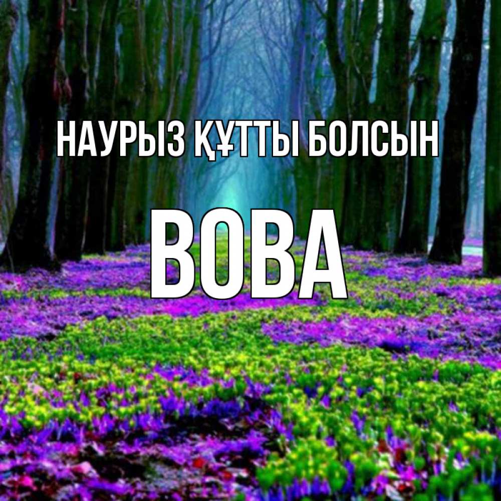 Күн сайын ашық хат с именем, Вова Наурыз құтты болсын фиолетовые цветы в лесу 1 Онлайн тегін жүктеп алу тілектері бар керемет карта 