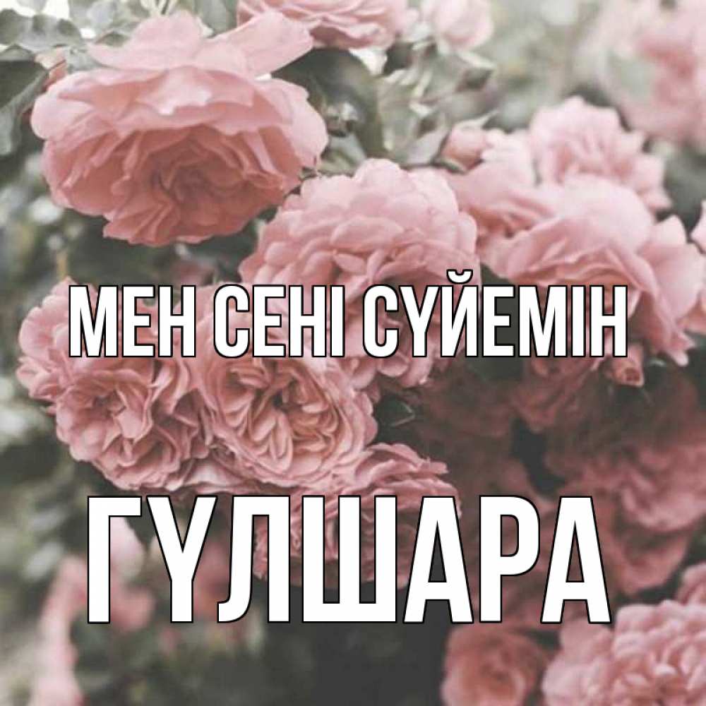 Күн сайын ашық хат с именем, ГҮЛШАРА Мен сені сүйемін розы 3 Онлайн тегін жүктеп алу тілектері бар керемет карта 