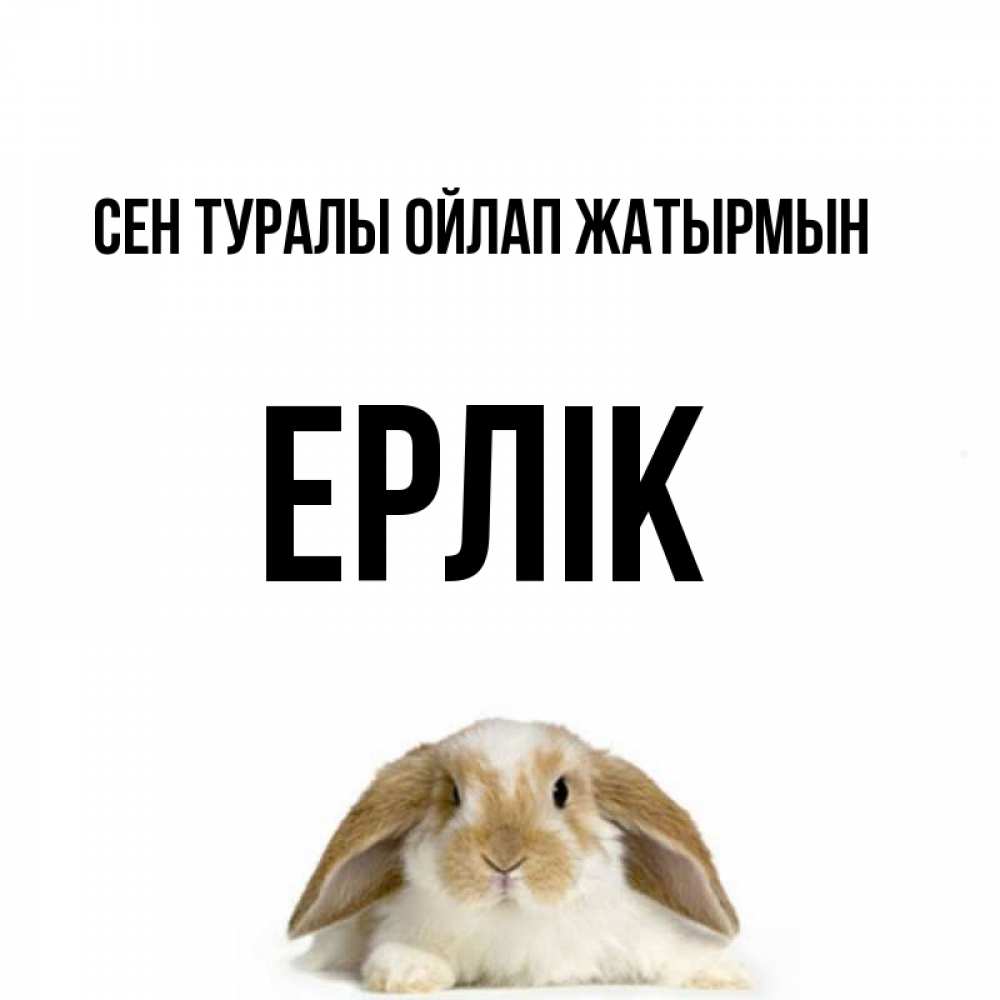 Күн сайын ашық хат с именем, Ерлік Сен туралы ойлап жатырмын подписать своими руками онлайн Онлайн тегін жүктеп алу тілектері бар керемет карта 