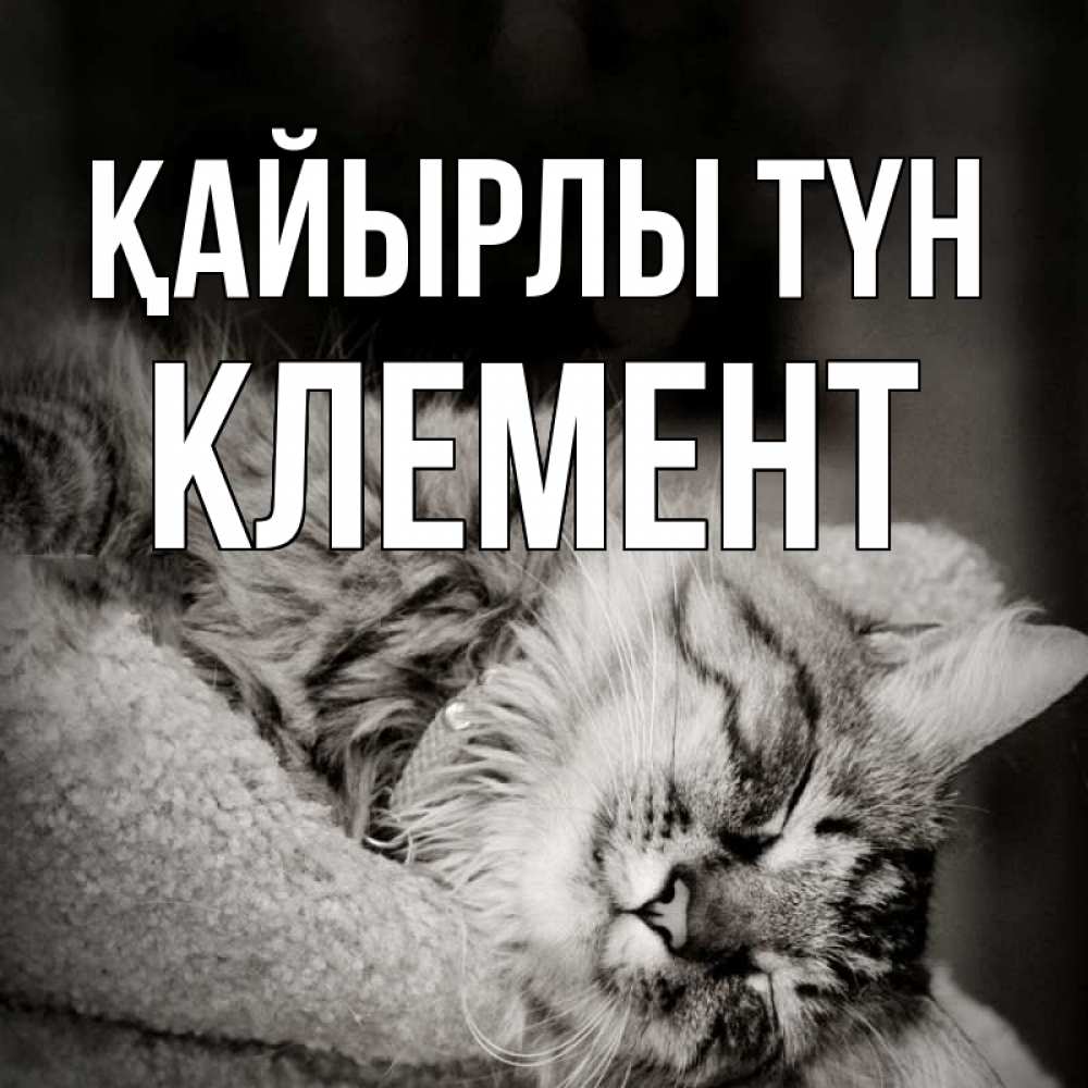 Күн сайын ашық хат с именем, Клемент Қайырлы түн котярик пушистый Онлайн тегін жүктеп алу тілектері бар керемет карта 