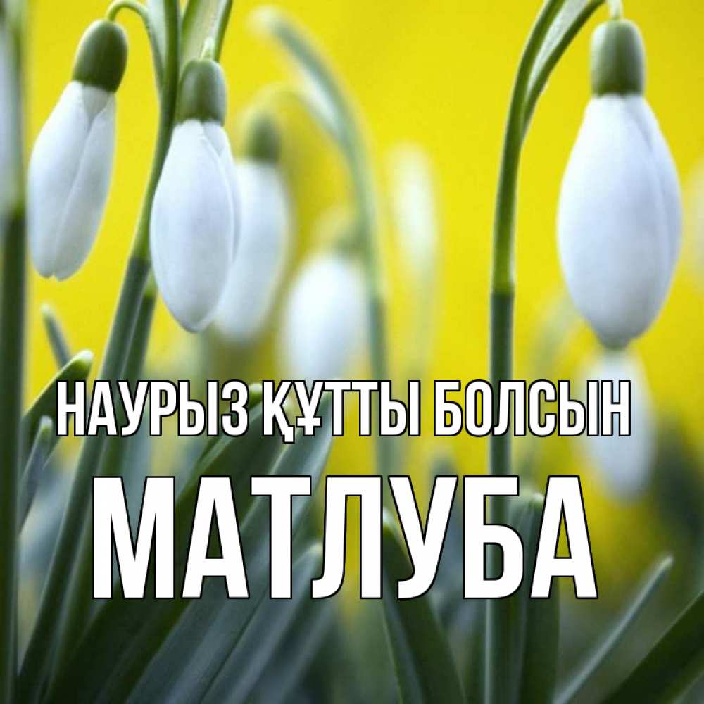 Күн сайын ашық хат с именем, МАТЛУБА Наурыз құтты болсын весенние цветы Онлайн тегін жүктеп алу тілектері бар керемет карта 