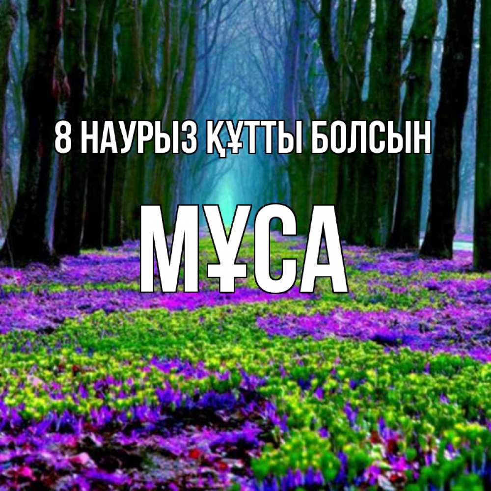 Күн сайын ашық хат с именем, МҰСА 8 наурыз құтты болсын фиолетовые цветы в лесу 1 Онлайн тегін жүктеп алу тілектері бар керемет карта 