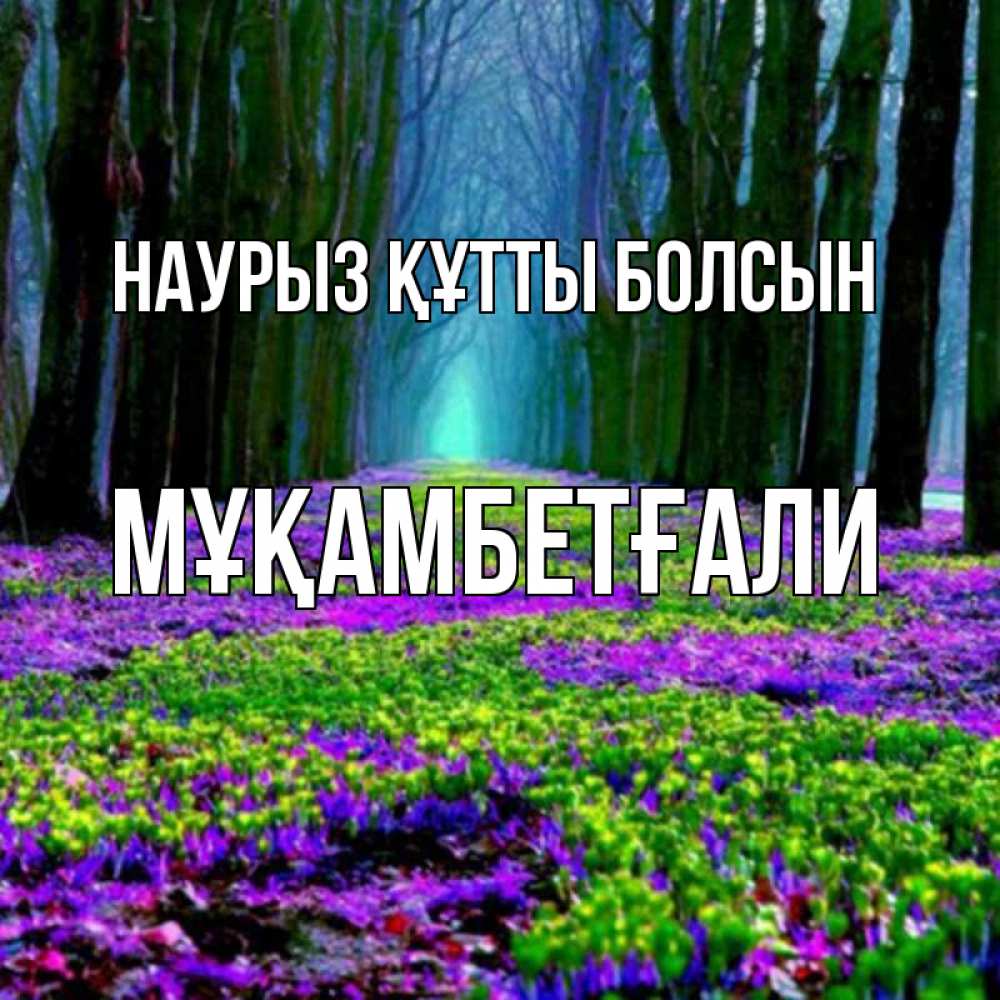 Күн сайын ашық хат с именем, Мұқамбетғали Наурыз құтты болсын фиолетовые цветы в лесу 1 Онлайн тегін жүктеп алу тілектері бар керемет карта 