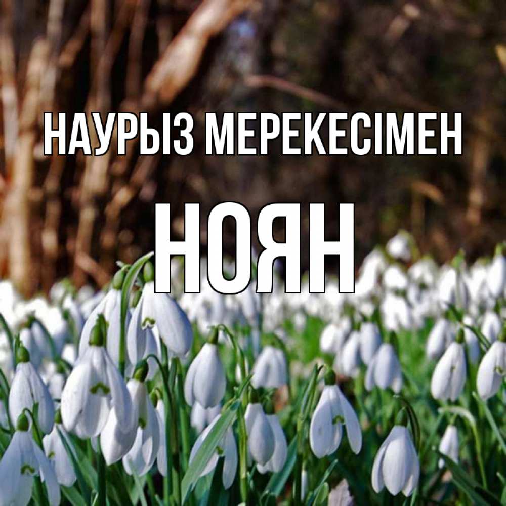 Күн сайын ашық хат с именем, НОЯН Наурыз мерекесімен с подснежниками 1 Онлайн тегін жүктеп алу тілектері бар керемет карта 